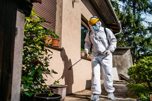 Reliable New Cassel, NY Pest Control Solutions