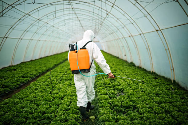 Best Pest Control Near Me  in New Cassel, NY