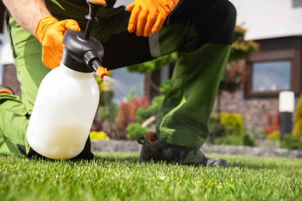 Flea Control Services in New Cassel, NY