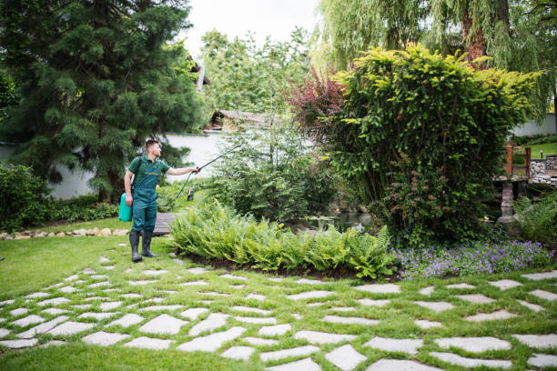 Best Insect Control  in New Cassel, NY