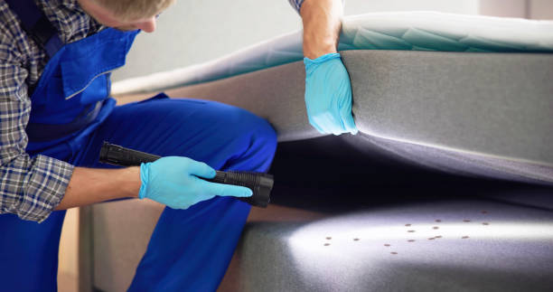 Best Bed Bug Extermination  in New Cassel, NY